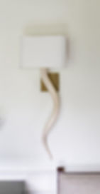 Modern Sleek Luxury Light Fixture: Dira Life: Kudu Core Wall Sconce Certified by Nature Conservation of South Africa