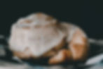 Cinnamon Roll