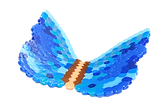 IMG_7991.png