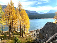 mountain and lake views in montana