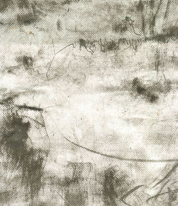 Chinese Landscape - Moor I