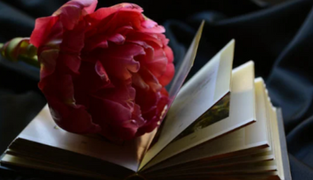 What Should You Include in a Memorial Service Program? Partner with The Life Celebrant