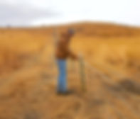 Image of staff member working on a fence in an open field