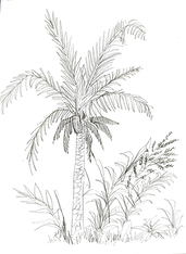 DocScanner Jun 9, 2025 12-30 PM_1(5) copy.png