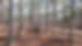 IMG_0266.jpeg