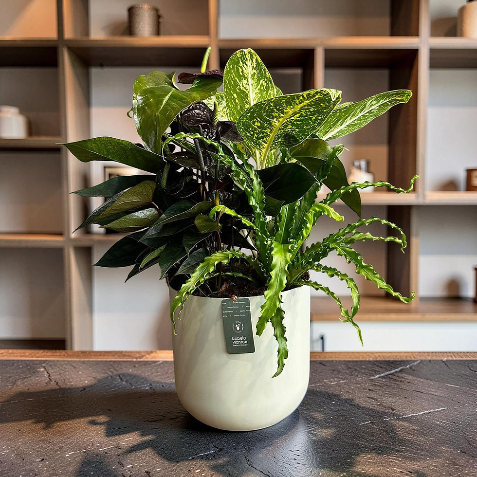 Miniatura: Mix de Folhagens e Flores