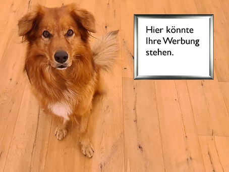 Auf der Suche nach Werbung