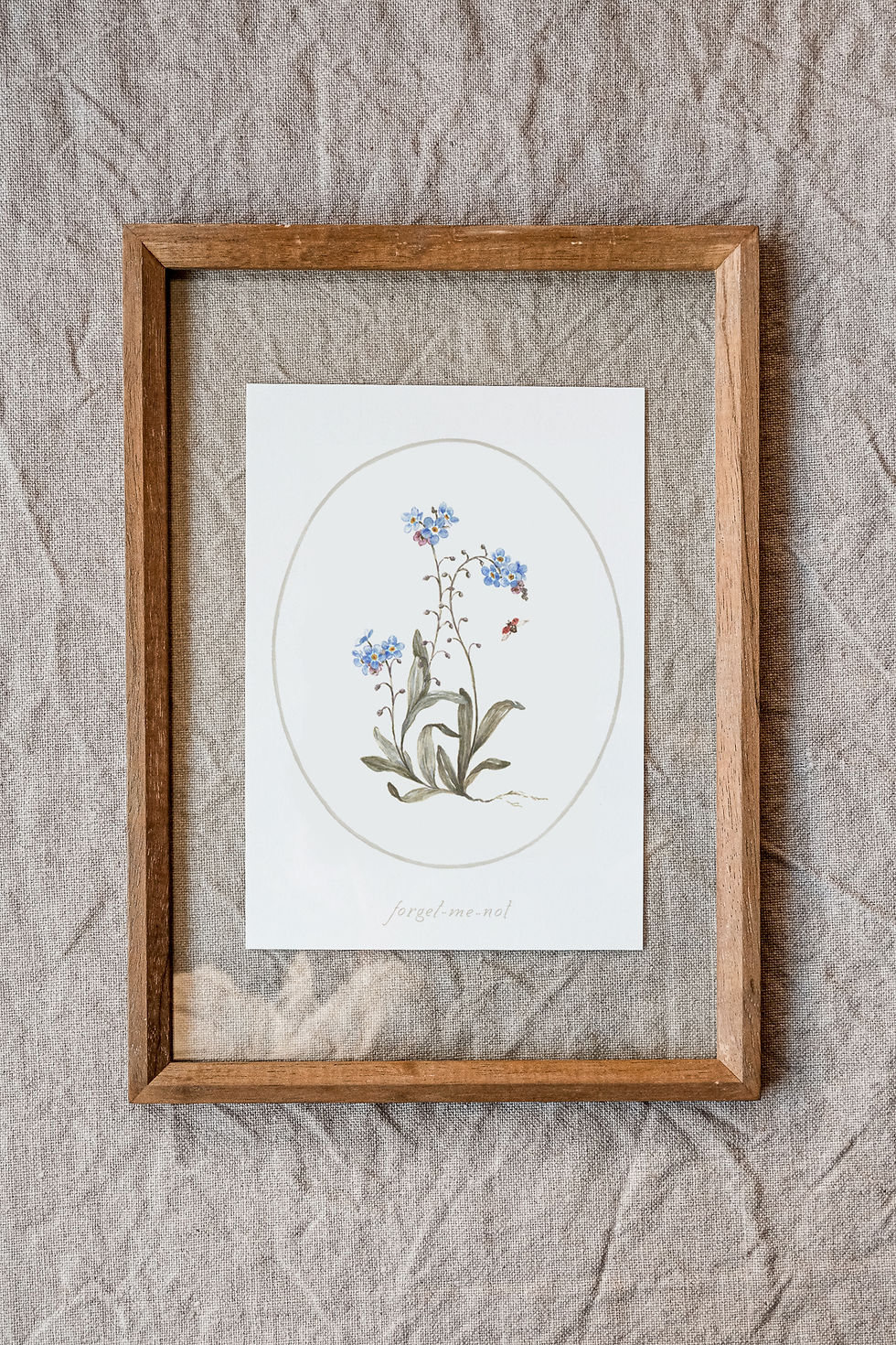 Miniatura: forget-me-not • print A5