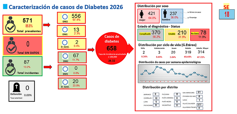 CARACTERIZACION DM SE 18 2026.png