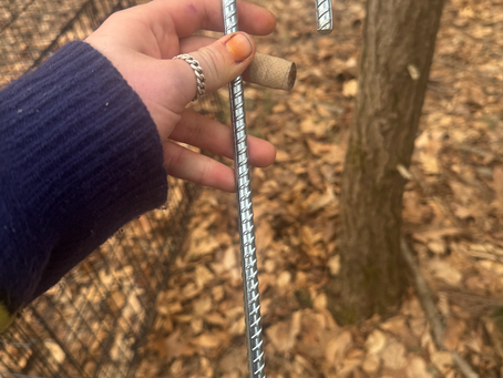 #1 - Staking in the Cage - 3/29/25