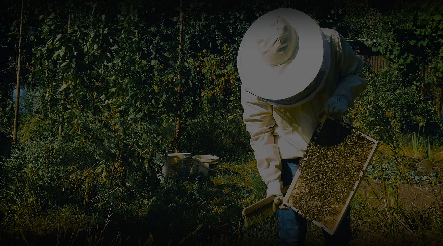 Justin Channell als Imker - Hintergrundbild
