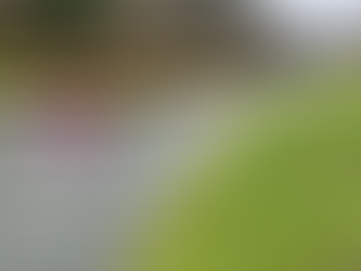 Wild Swim Induction Swimmers