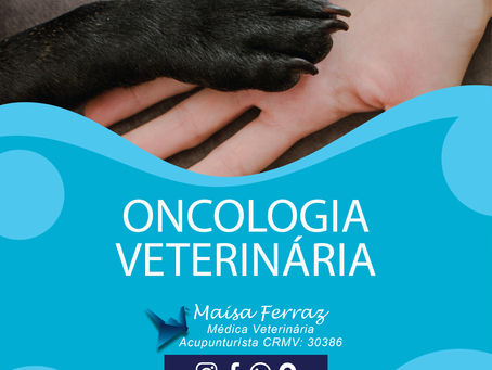 Como a Acupuntura Veterinária ajuda no tratamento de câncer do seu pet?