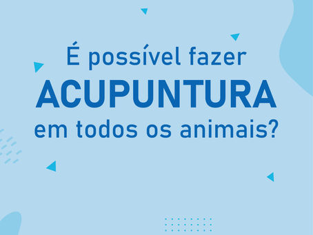 Todos os animais podem fazer acupuntura?