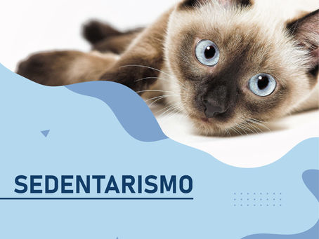 SEDENTARISMO!