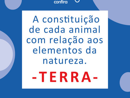 A constituição de cada animal com relação aos elementos da natureza - TERRA 🌎