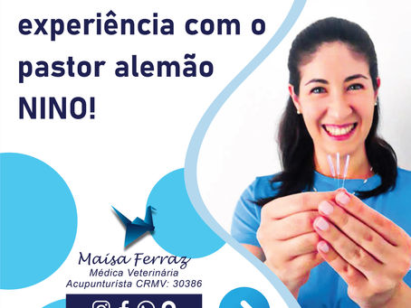 Minha experiência com Nino.
