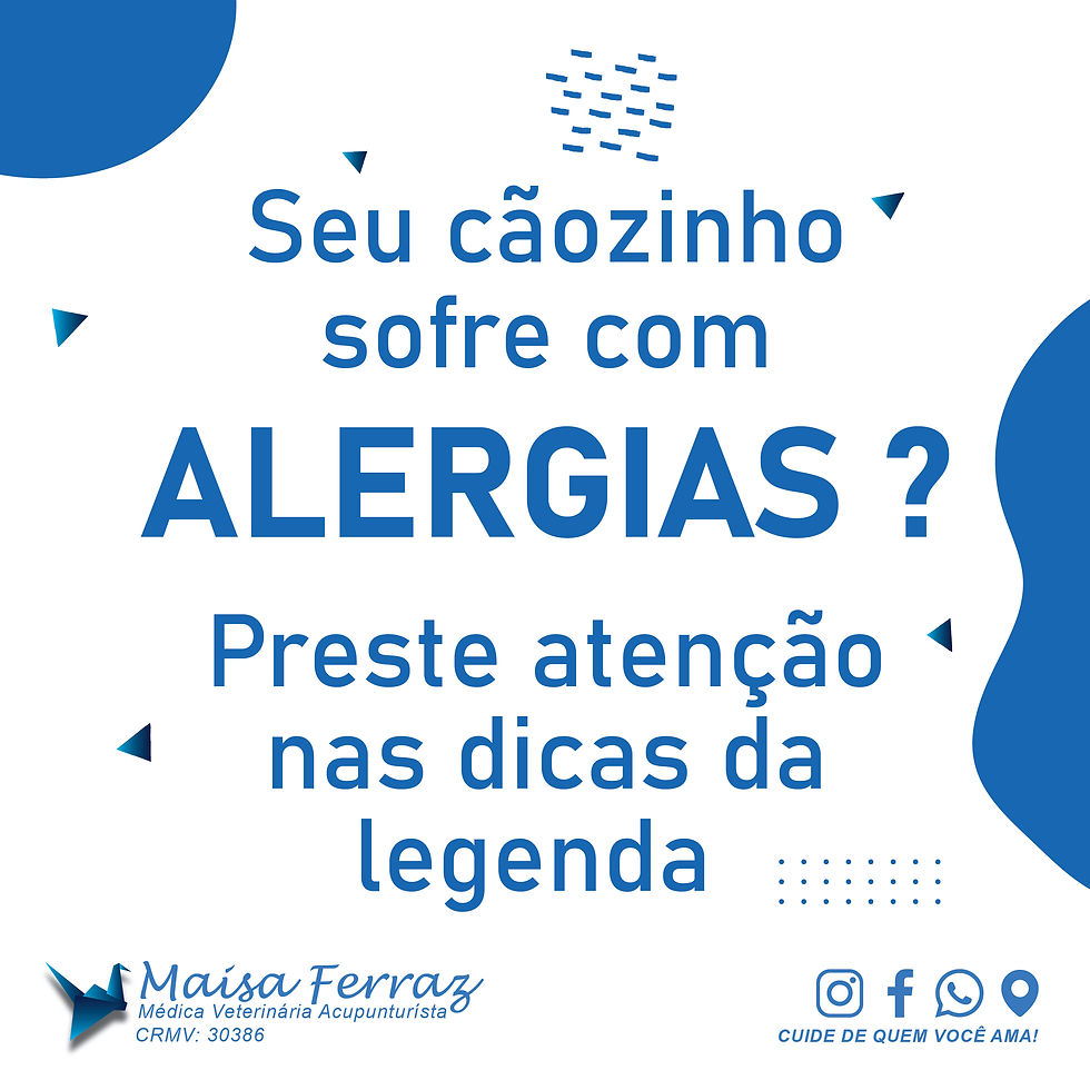 Seu cãozinho sofre com alergias?