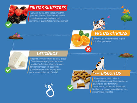 Dar petiscos, pode?