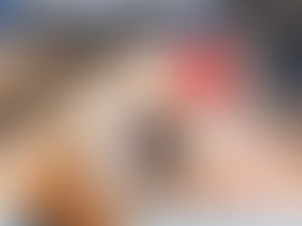Veja como o seu pet pode ter uma vida saudável com diabetes!