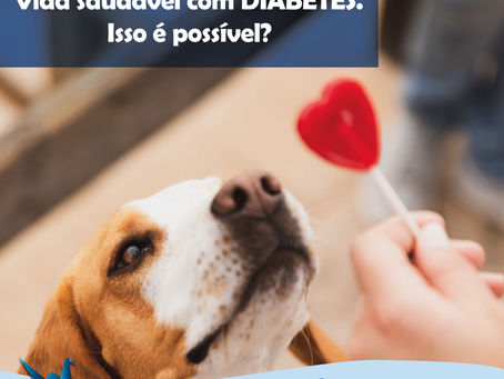 Veja como o seu pet pode ter uma vida saudável com diabetes!
