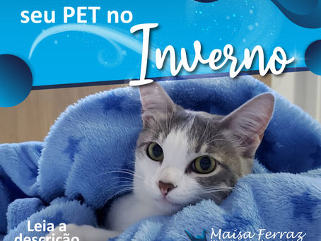 Dicas para um inverno mais confortável para seu pet!