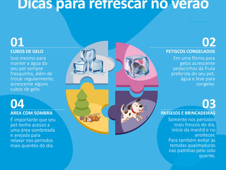 Dicas para refrescar seu pet.