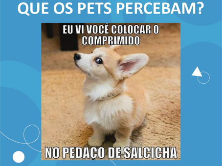 Como dar remédio sem que seu pet perceba?