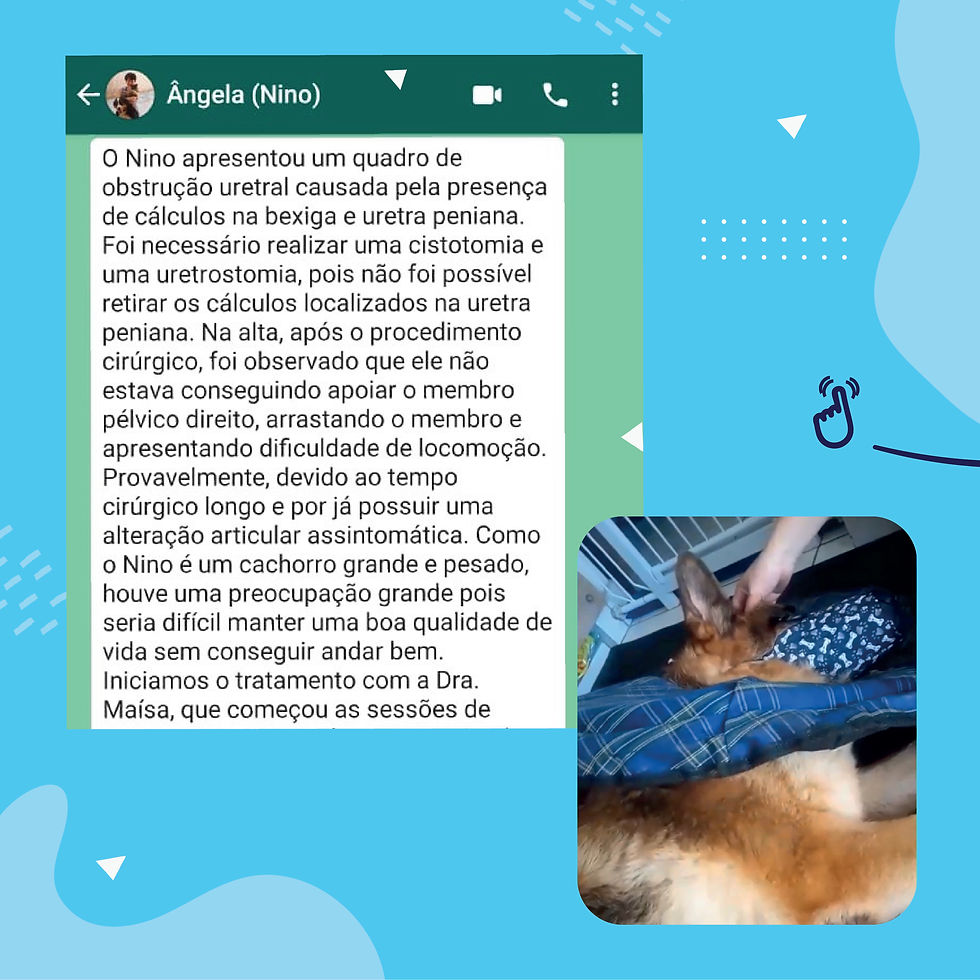 Conheça a história do Nino