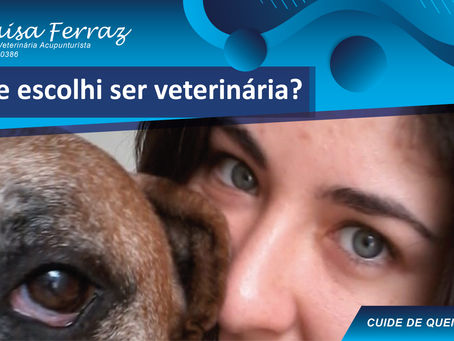 Porque sou veterinária?