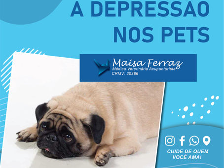A depressão nos pets.