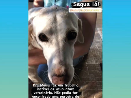 Atendimento da Milla <3