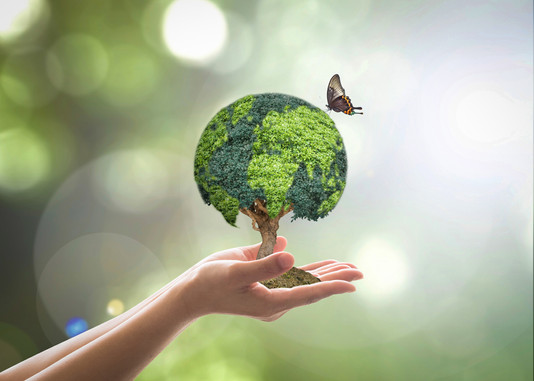 Sustainability - First steps