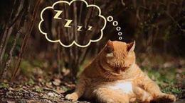 My Struggles with Meditation