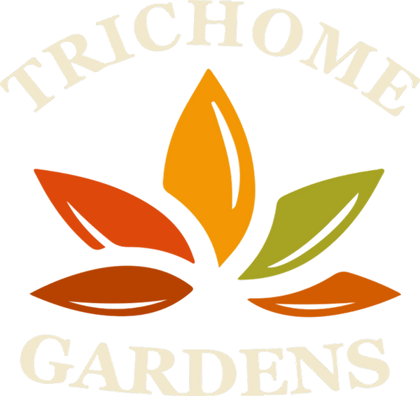 Logo Autumn_edited.png