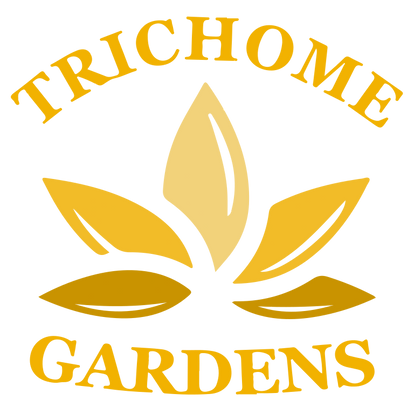 logo yellow_edited.png