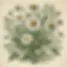 DALL·E 2024-12-11 12.46.11 - A vintage botanical illustration of chamomile, in the style o