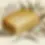 DALL·E 2024-12-11 13.47.47 - A vintage botanical-style illustration of a smooth, solid bri