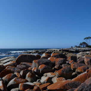 Four more days in the Tasmanian island