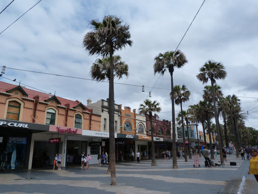 Manly beach
