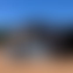 Working in a banana farm