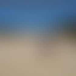 Nelson Bay / Lake Macquaries: nature, camping and crazy driving!!