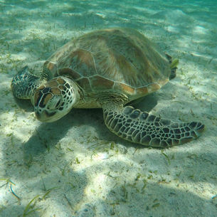 Unexpected trip to Port Barton