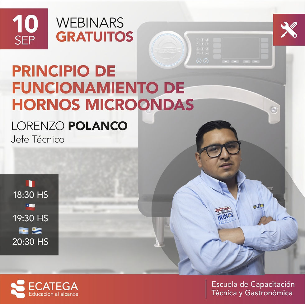 WEBINAR TÉCNICO W-T-100920