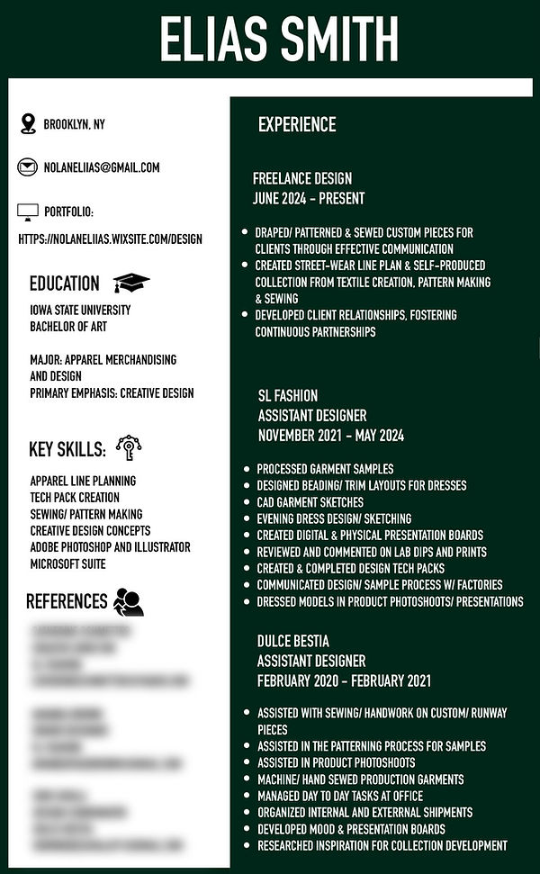 ELIAS RESUME jan 2026 blurred.jpg