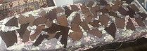IMG_5563.jpeg