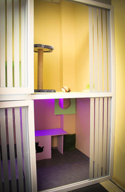 Двухэтажный люкс