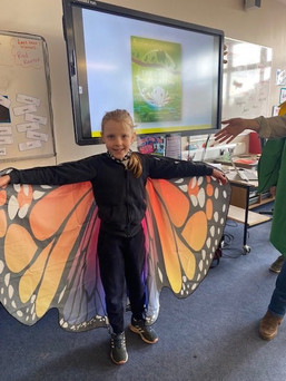 Who wants to be a Hawk Moth?