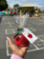 Teacher Appreciation Sprinkle Apple
