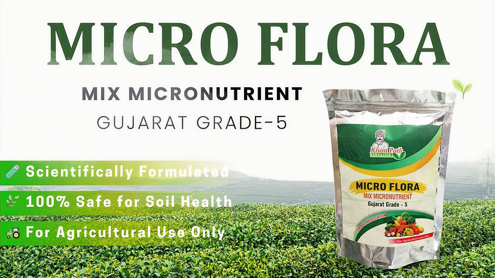 MICRO FLORA (1)_edited.jpg